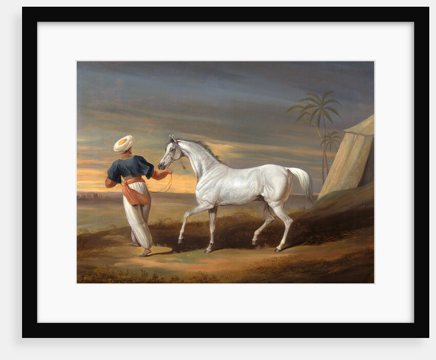 Signal, a Grey Arab, with a Groom in the Desert by David Dalby of York