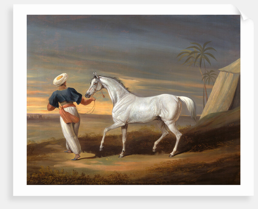 Signal, a Grey Arab, with a Groom in the Desert by David Dalby of York