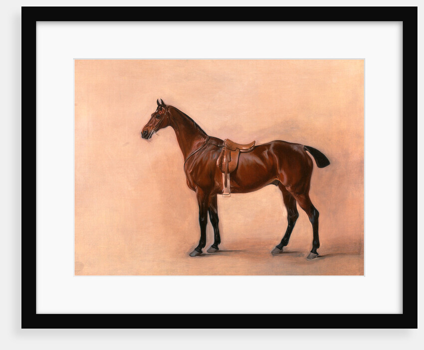 Study of a Saddled Bay Hunter by John Ferneley