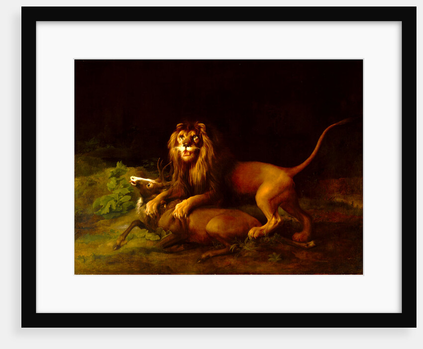 A Lion Attacking a Stag Lion devouring a stag by George Stubbs