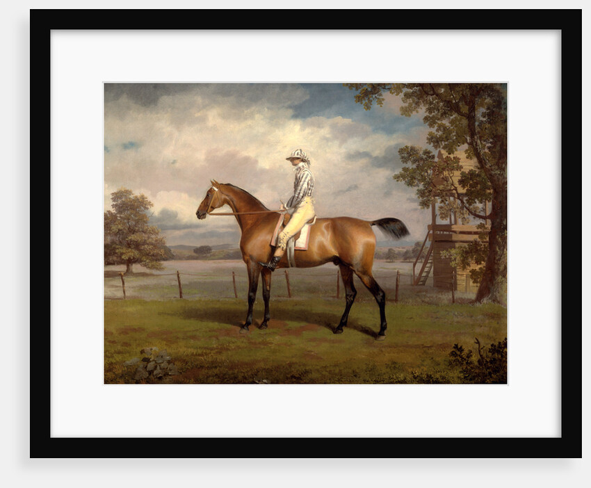 Portrait of a Racehorse, Possibly Disguise by George Garrard