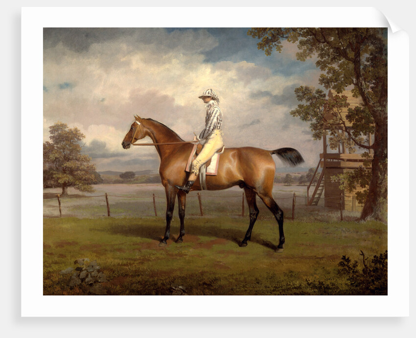 Portrait of a Racehorse, Possibly Disguise by George Garrard
