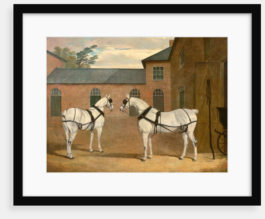 Grey carriage horses in the coachyard at Putteridge Bury by John Frederick Herring