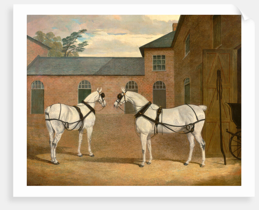 Grey carriage horses in the coachyard at Putteridge Bury by John Frederick Herring