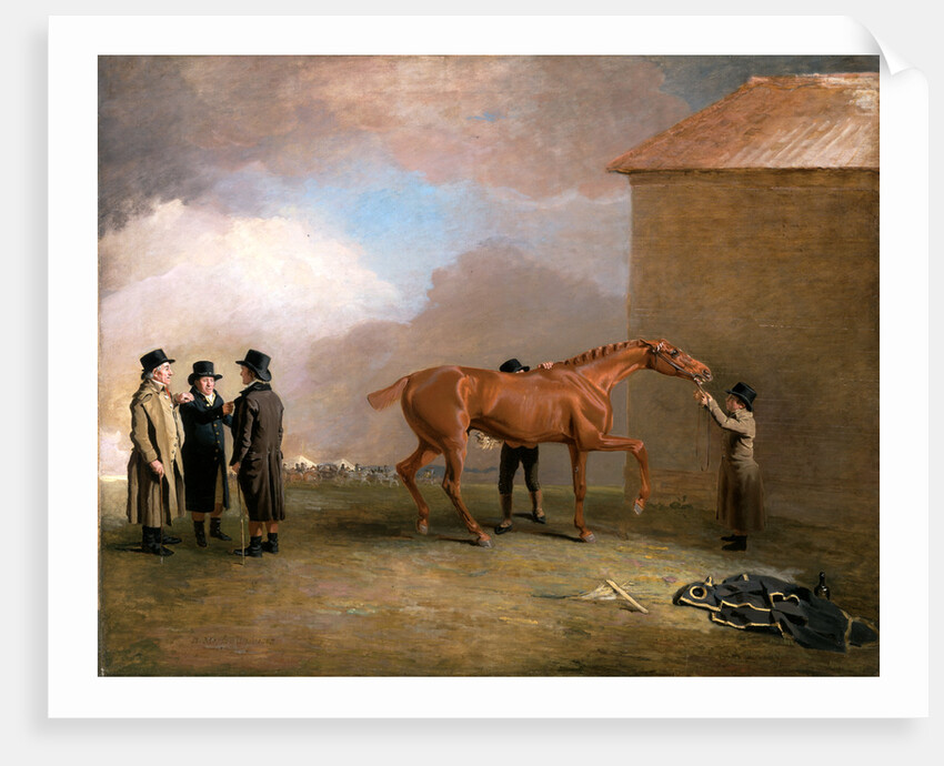 Muly Moloch being rubbed down at Newmarket by Benjamin Marshall
