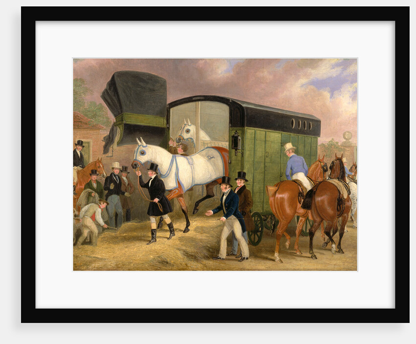 The Derby Pets: The Arrival by James Pollard