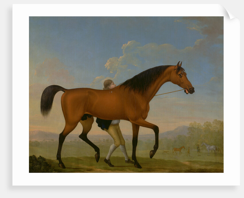 The Duke of Ancaster's Bay Stallion, Blank, Walking Towards a Mare King Herod by William Shaw