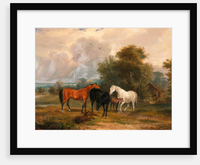 Horses Grazing: Mares and Foals in a Field by Calcraft Turner