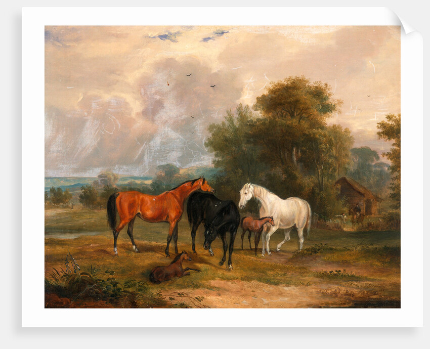 Horses Grazing: Mares and Foals in a Field by Calcraft Turner