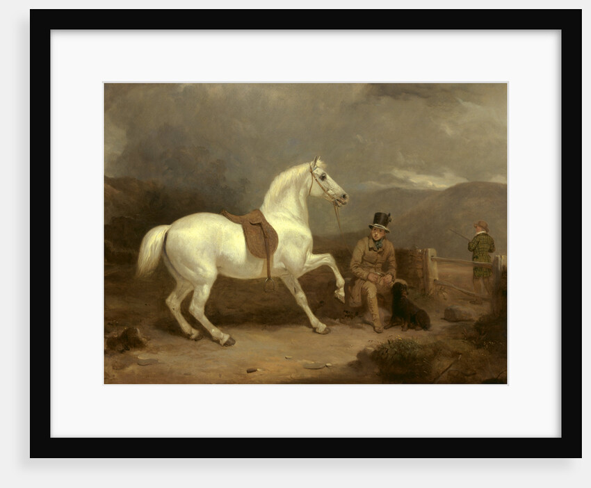 Grey Shooting Pony, Probably the Property of Johnston King by Thomas Woodward