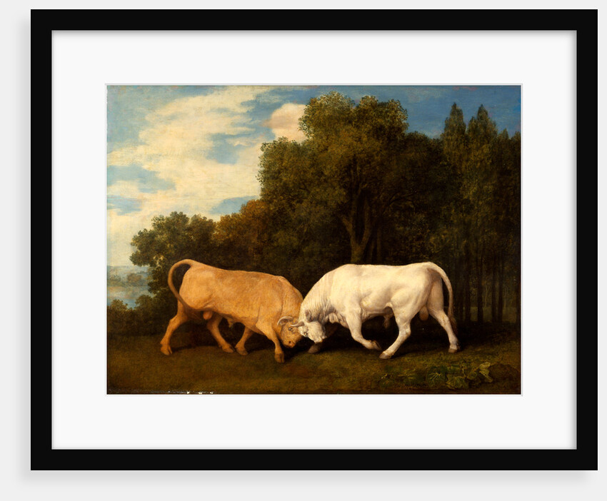 Bulls Fighting by George Stubbs