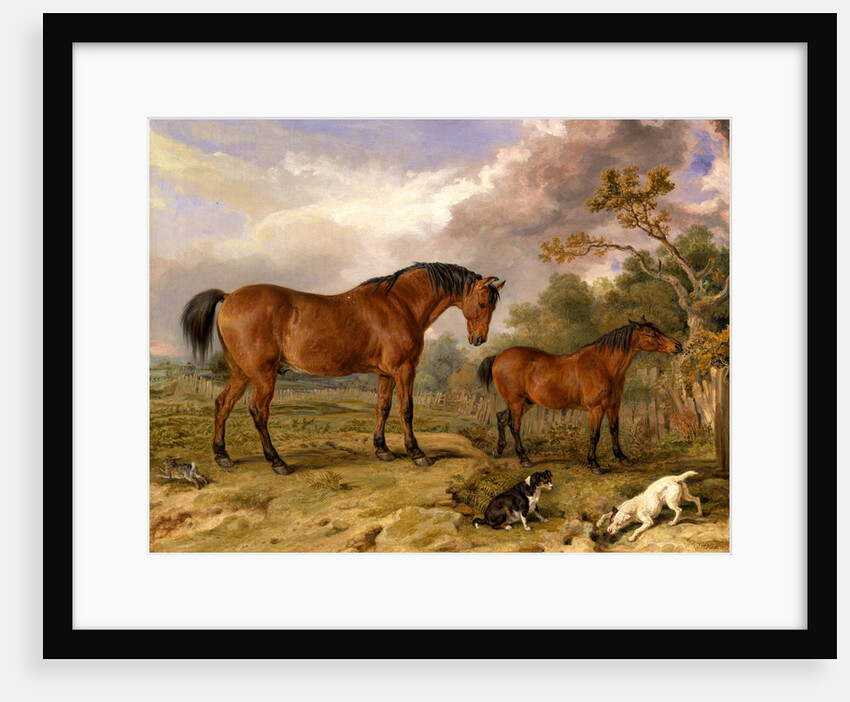 Portrait of Reformer, Blucher, Tory and Crib by James Ward