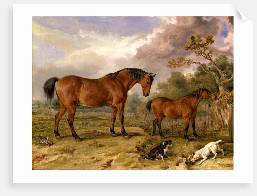 Portrait of Reformer, Blucher, Tory and Crib by James Ward