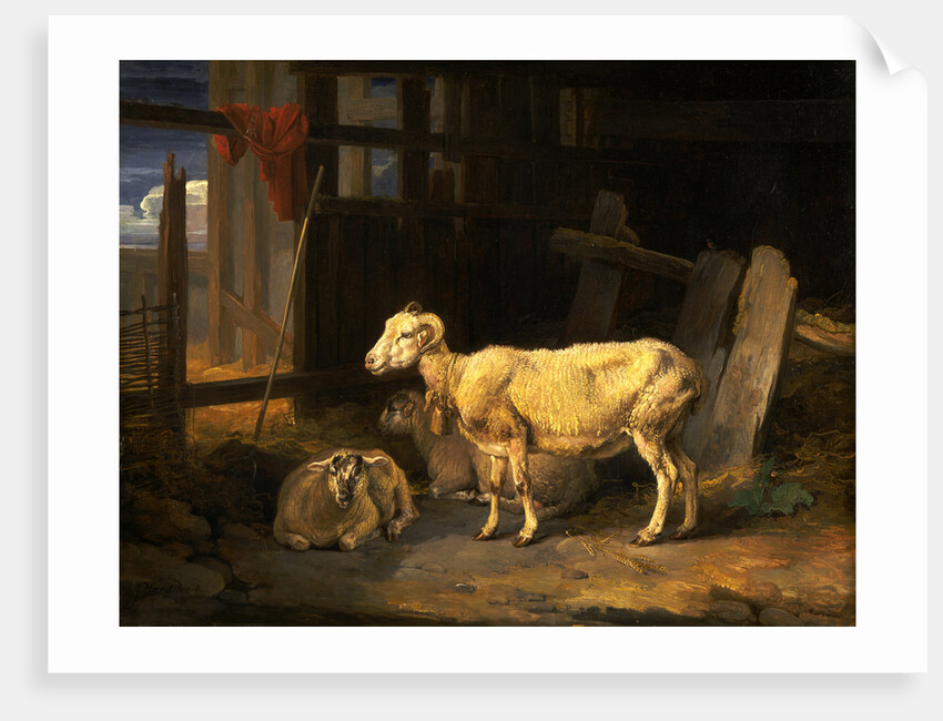 Heath Ewe and Lambs by James Ward
