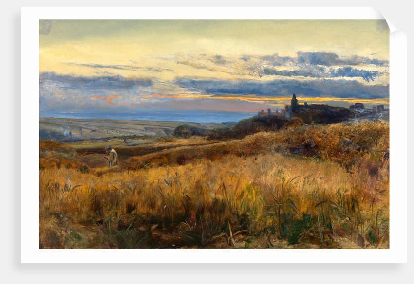 Cornfield at sunset by John William Inchbold