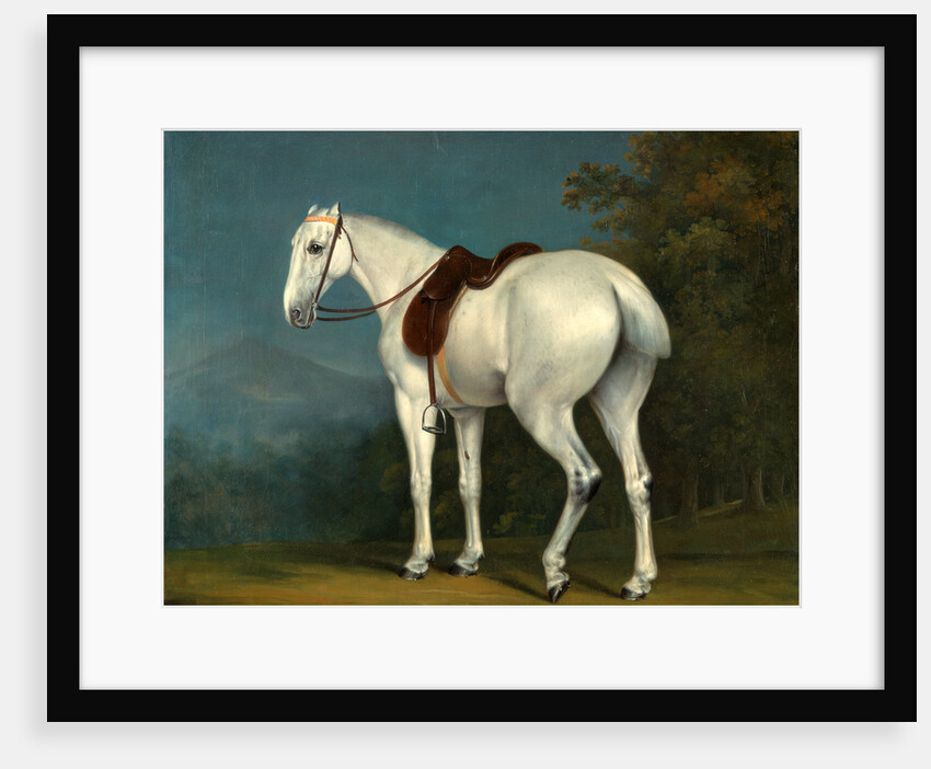 A Lady's Grey Hunter by Jacques-Laurent Agasse