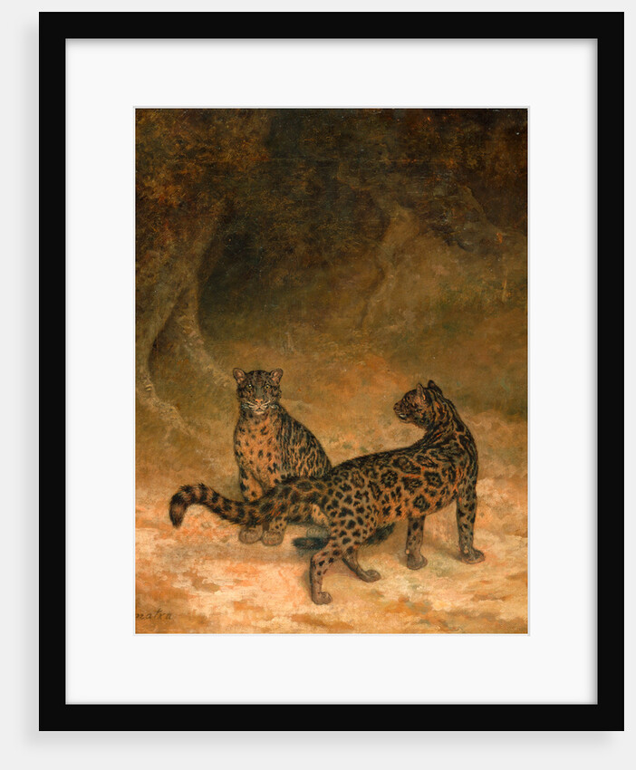 Clouded Leopards by Jacques-Laurent Agasse