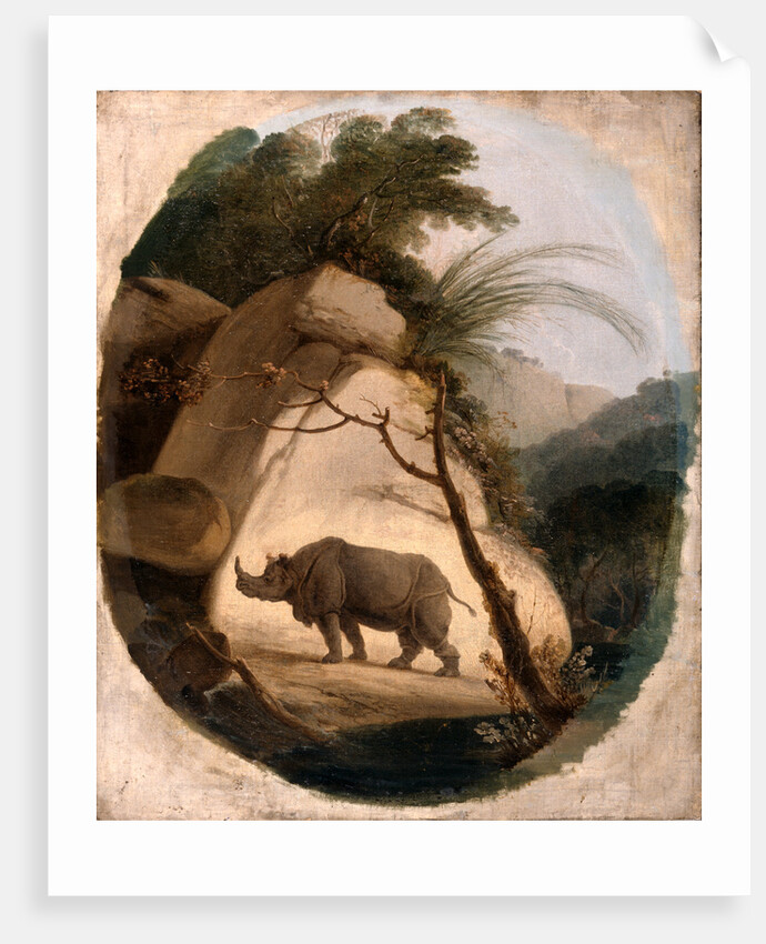 The Indian Rhinoceros by Thomas Daniell