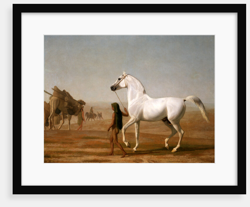 The Wellesley Grey Arabian Led through the Desert by Jacques-Laurent Agasse