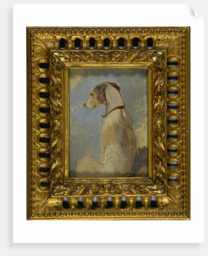 Study of a Greyhound by Sir Edwin Henry Landseer