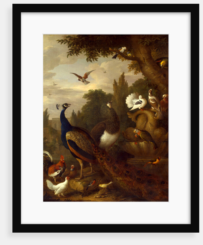 Peacock, peahen, parrots, canary, and other birds in a park by Jacob Bogdani