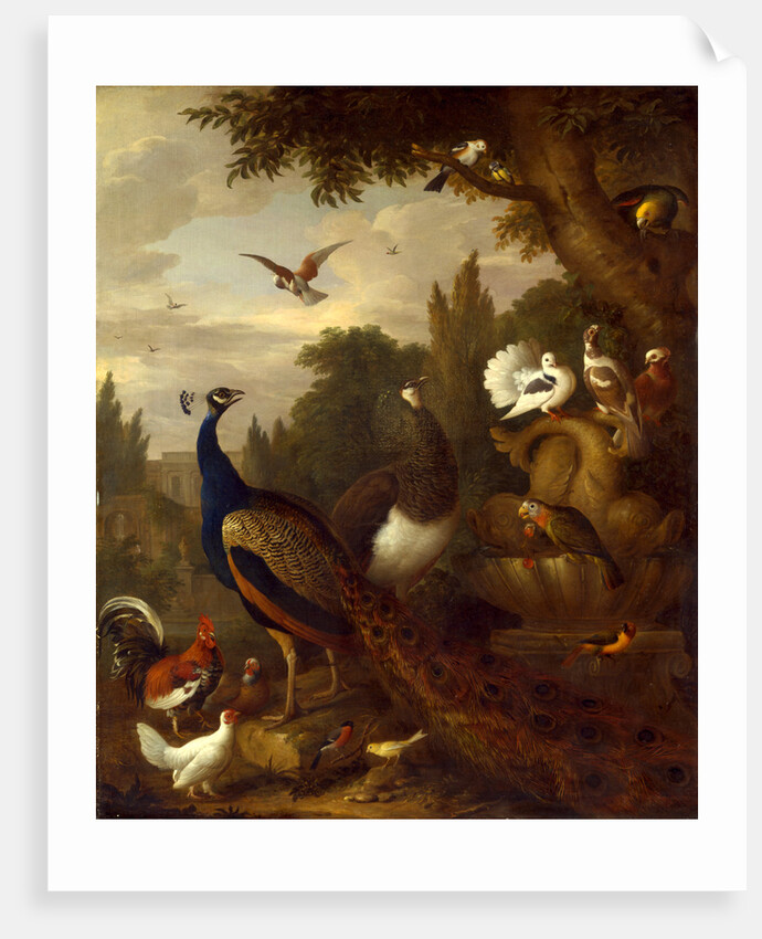 Peacock, peahen, parrots, canary, and other birds in a park by Jacob Bogdani