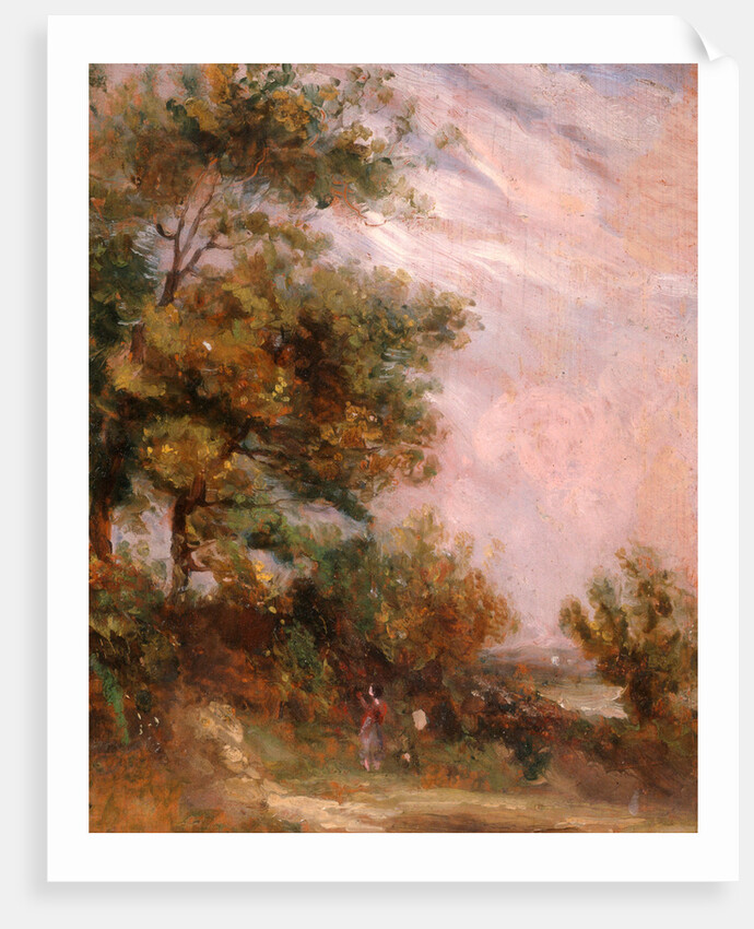 Landscape with Trees and a Figure Verso: Cottages in a Landscape by Thomas Churchyard