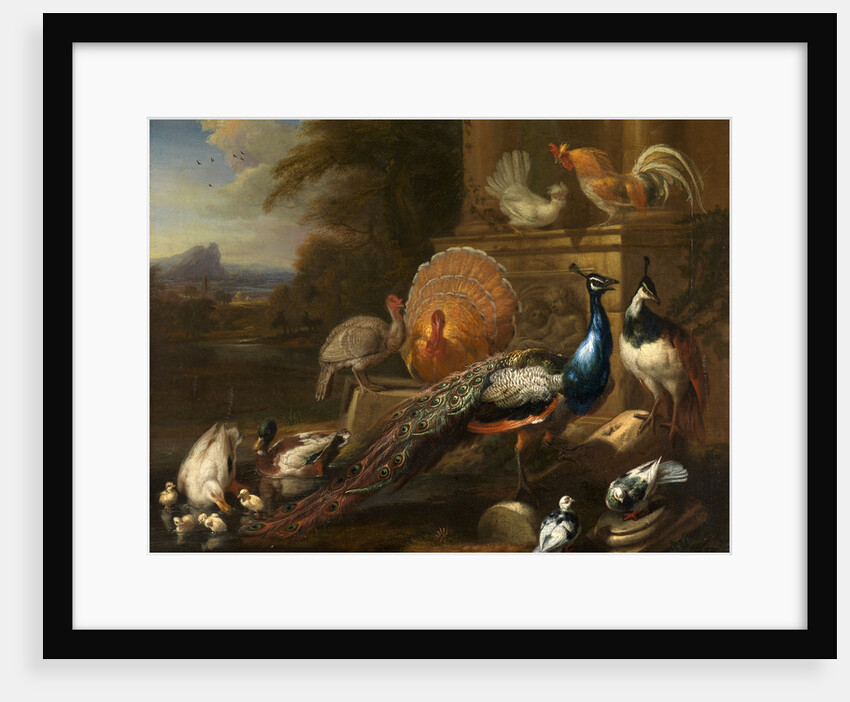 Peacocks, Doves, Turkeys, Chickens and Ducks by a Classical Ruin by Marmaduke Cradock