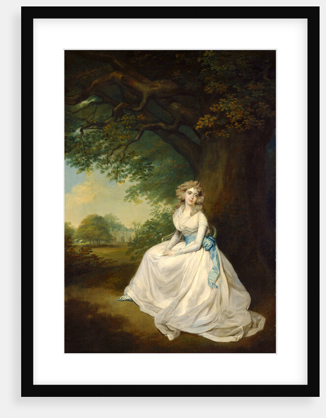 Lady Chambers by Arthur William Devis