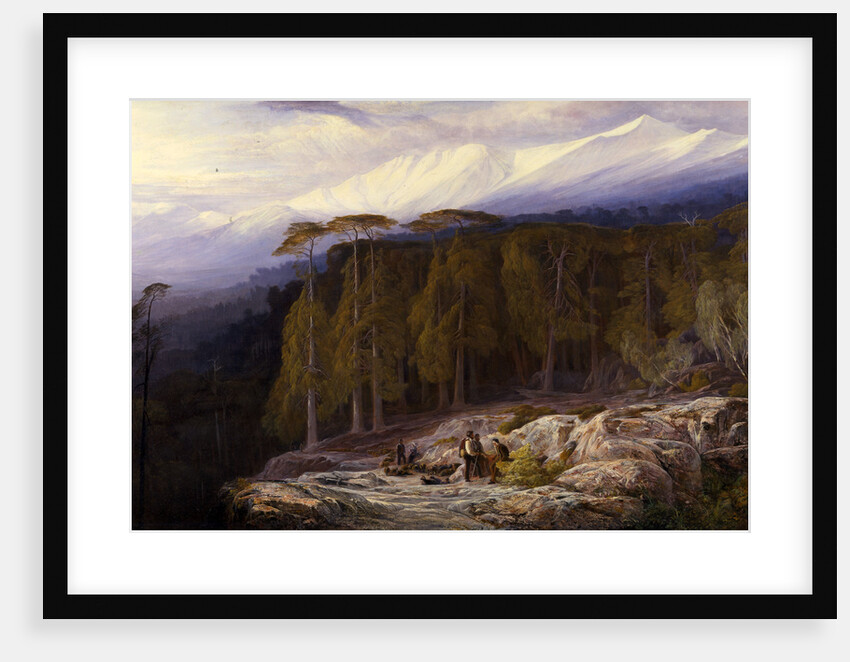 The Forest of Valdoniello by Edward Lear