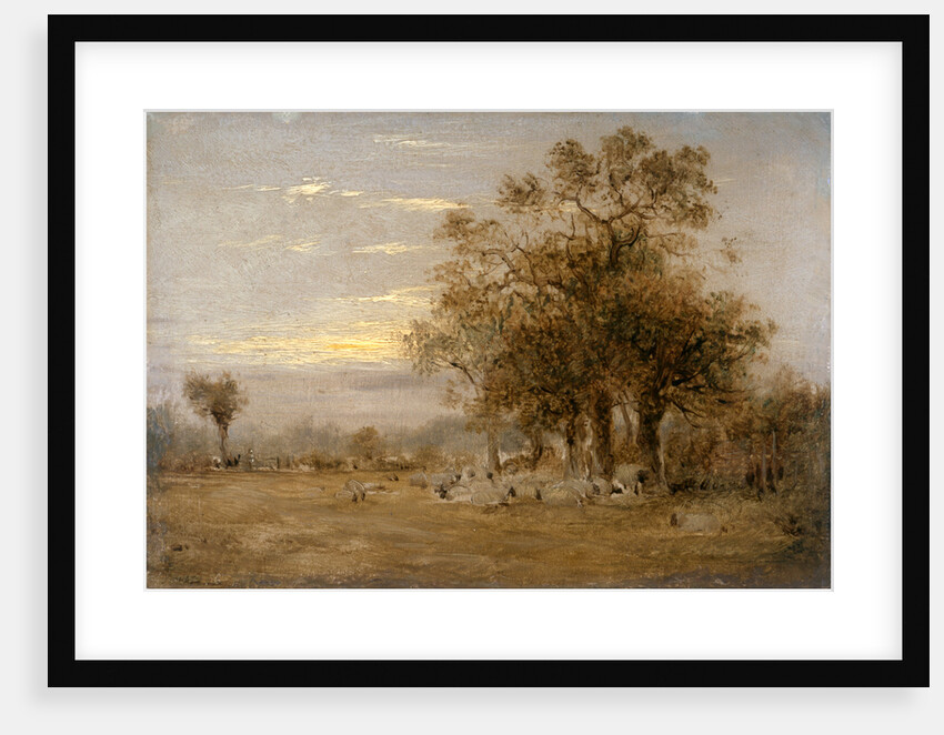 Sheep Grazing by John Linnell