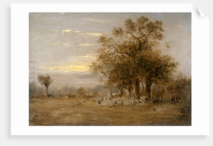 Sheep Grazing by John Linnell