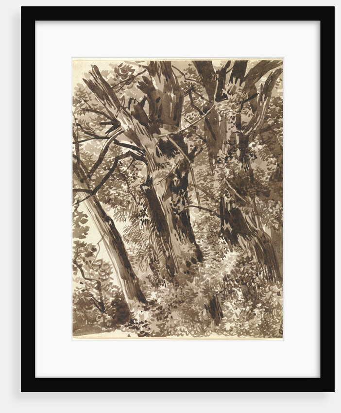 Trunks and Branches by Franz Innocenz Kobell