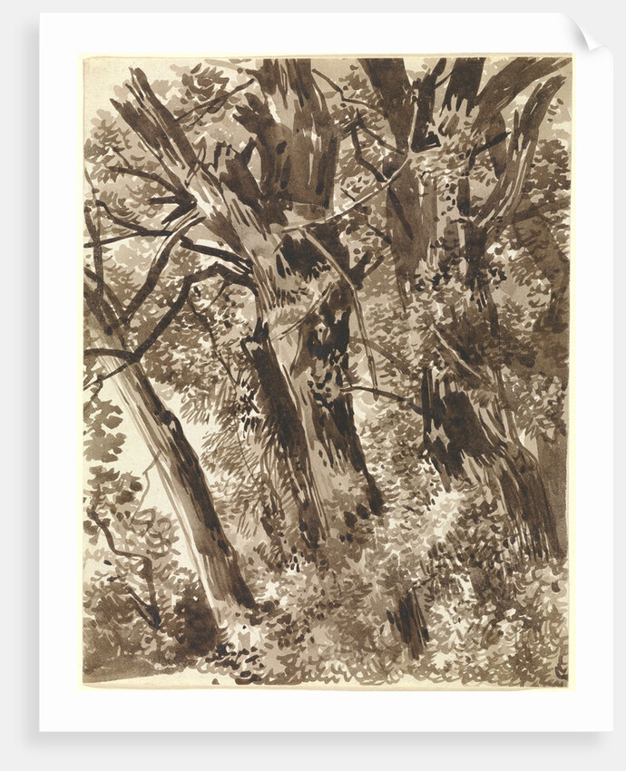 Trunks and Branches by Franz Innocenz Kobell