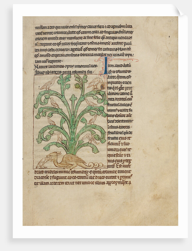 A Peridexion by Anonymous