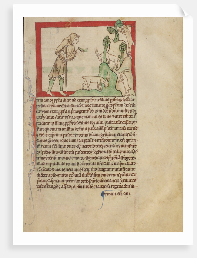 The Prophet Amos by Anonymous