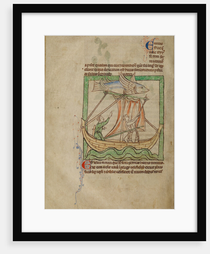 A Flying Fish by Anonymous