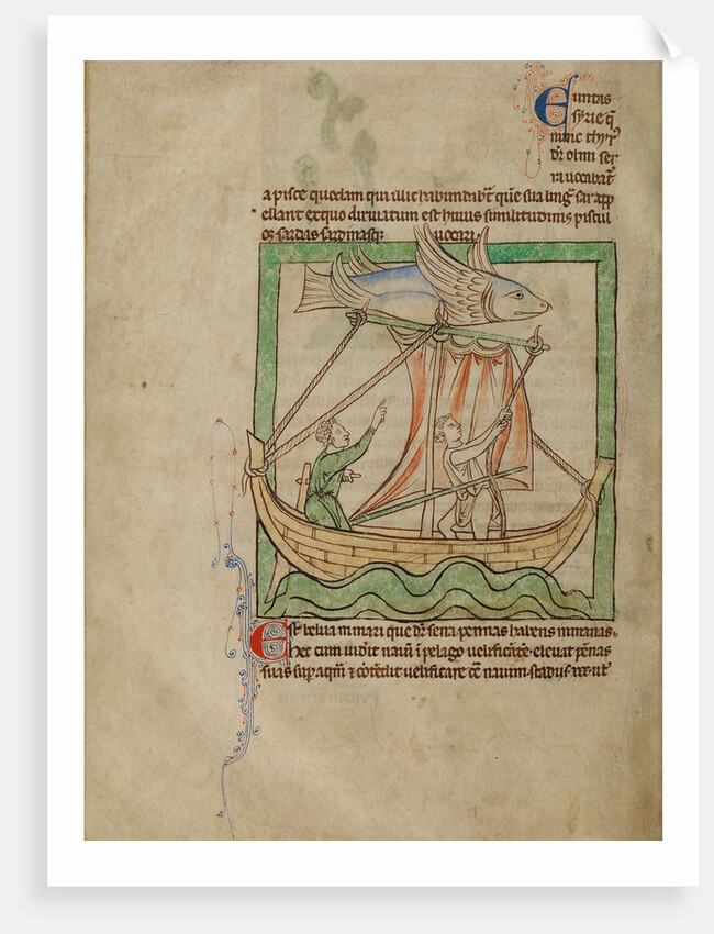 A Flying Fish by Anonymous