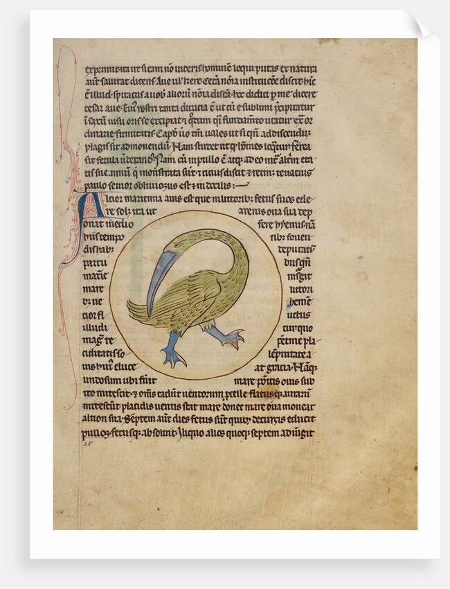 An Alcior by Anonymous