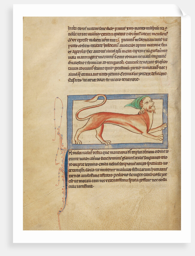 A Manticore by Anonymous