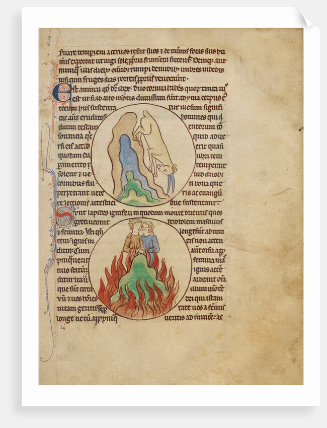 An Ibex, Fire Stones by Anonymous