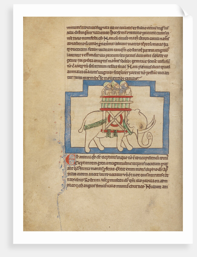 An Elephant by Anonymous