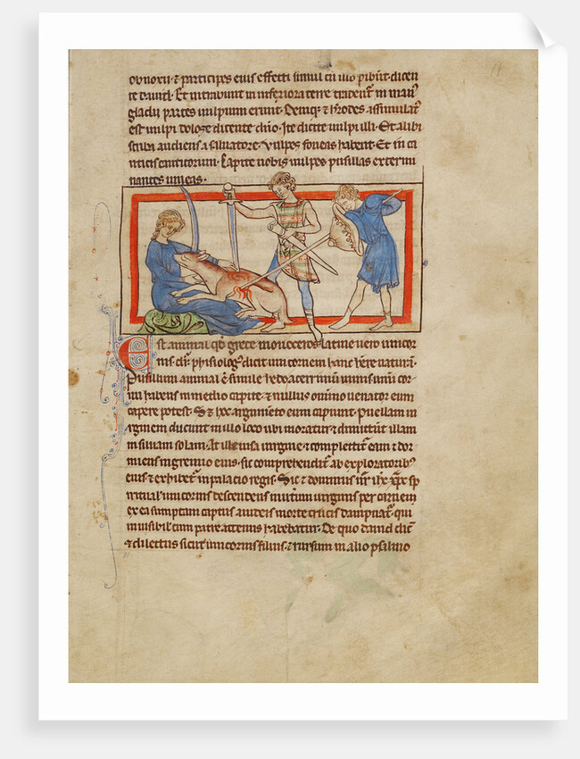 A Unicorn by Anonymous