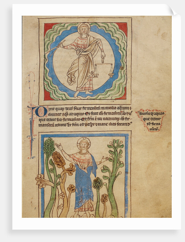 The Creation of Heaven and Earth, The Creation of the Trees by Anonymous