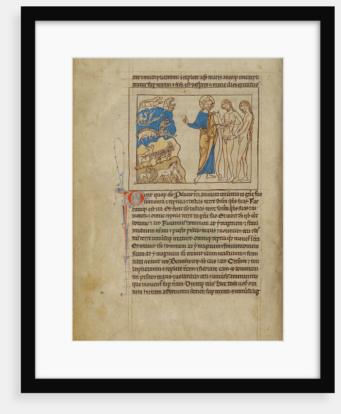 The Creation of the Animals and of Adam and Eve by Anonymous