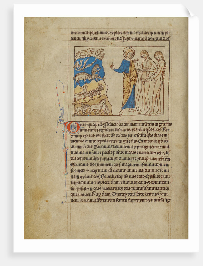 The Creation of the Animals and of Adam and Eve by Anonymous