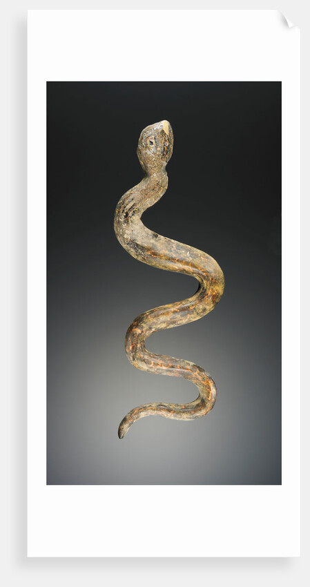 Snake by Anonymous