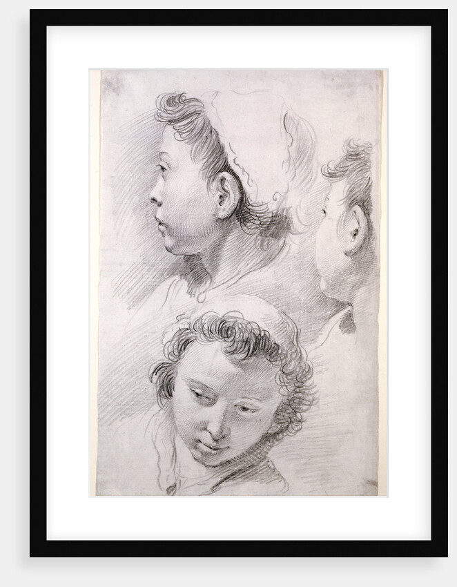 Three Studies of the Head of a Youth by Francesco Salvator Fontebasso