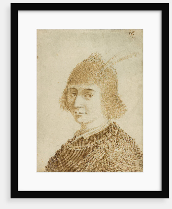 Portrait of a Lady by Jan van de Velde