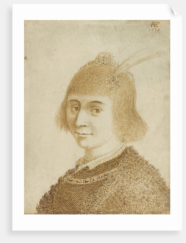 Portrait of a Lady by Jan van de Velde